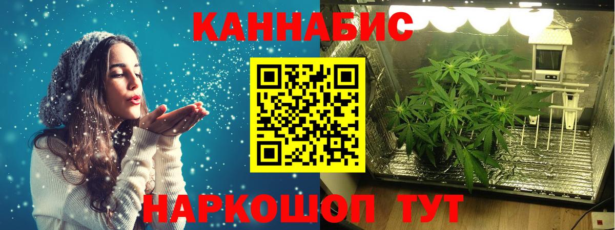 Бошки Шишки планчик Октябрьский